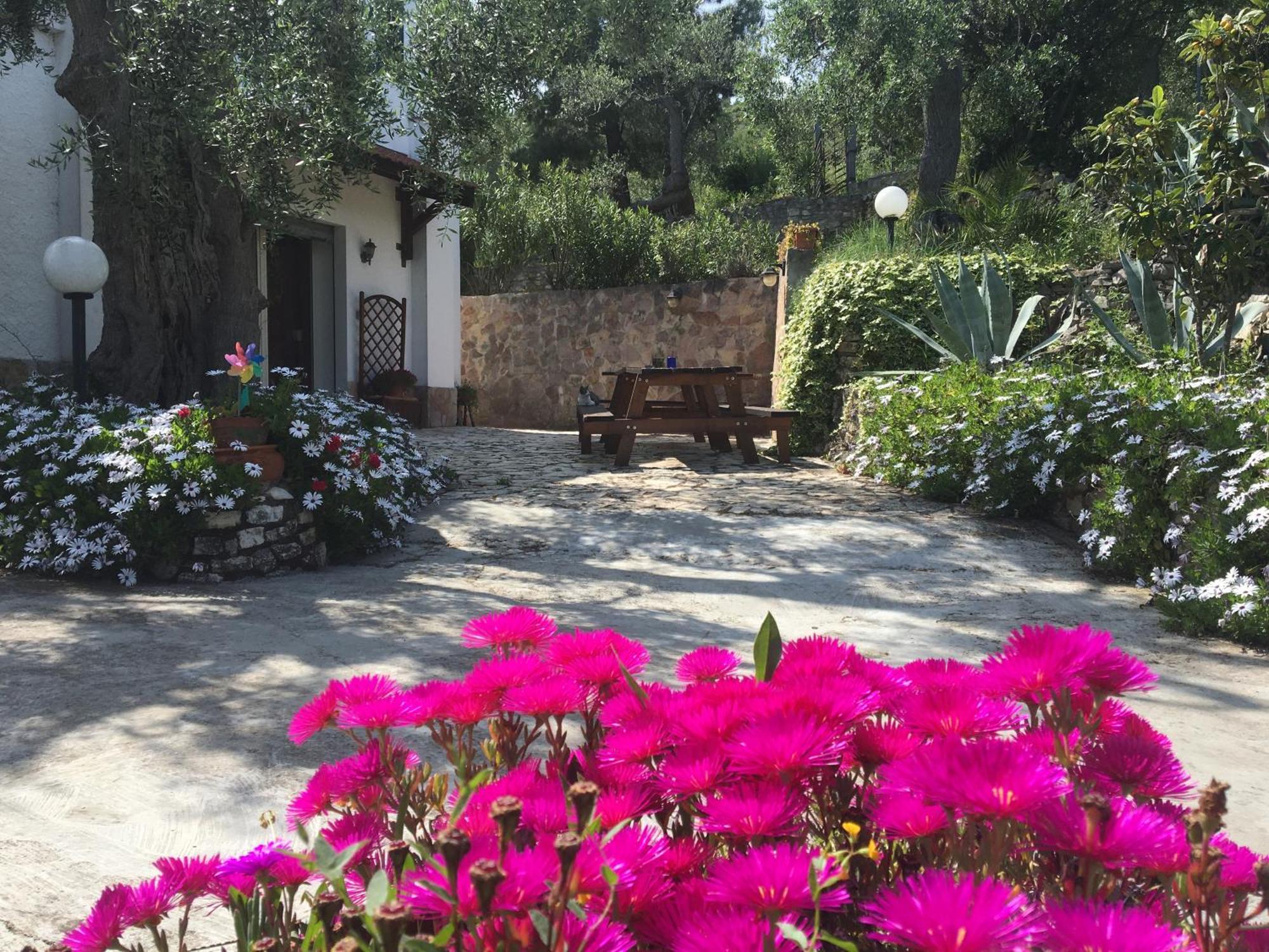 Azienda Agricola Macchiaria Bed & Breakfast *